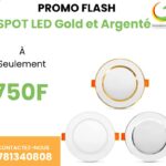 SPOT LED Gold et Argenté