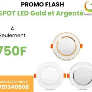 SPOT LED Gold et Argenté