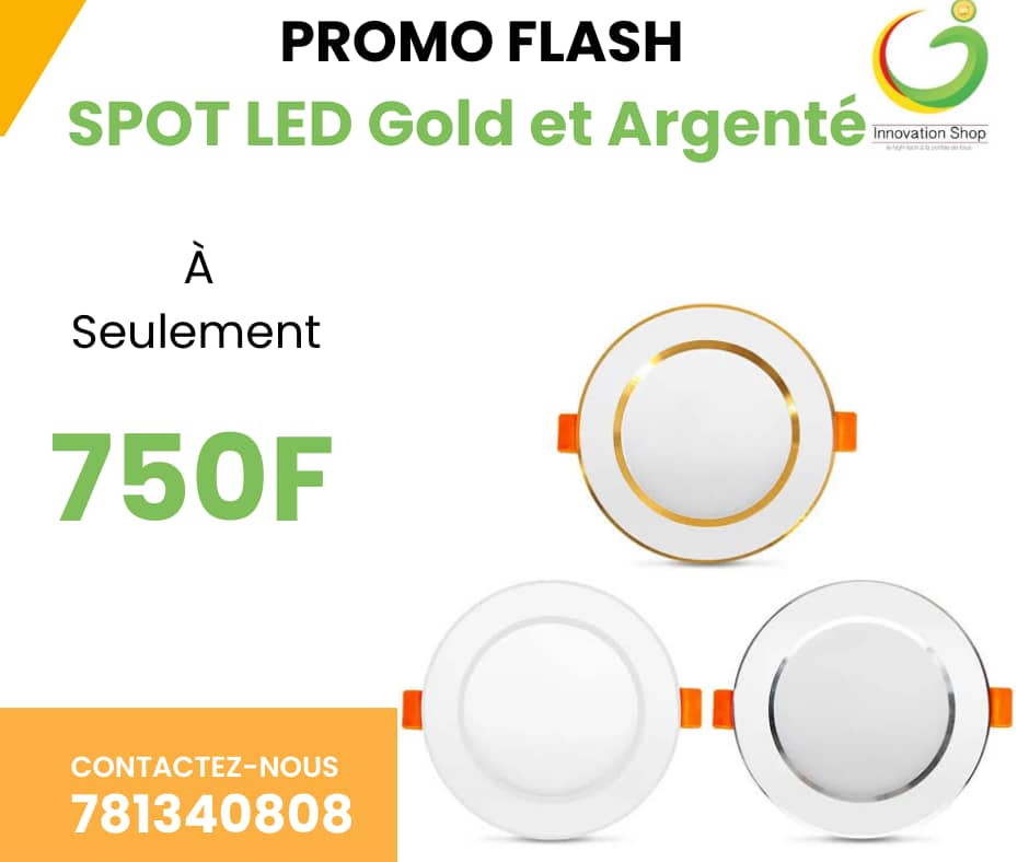 SPOT LED Gold et Argenté