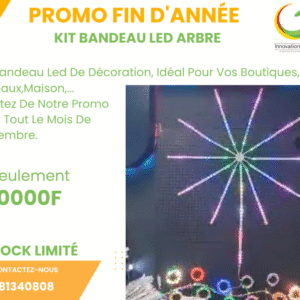 KIT BANDEAU LED ARBRE